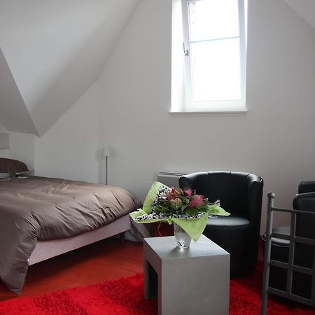 Studio De La Petite Venise Apartment Colmar Bagian luar foto