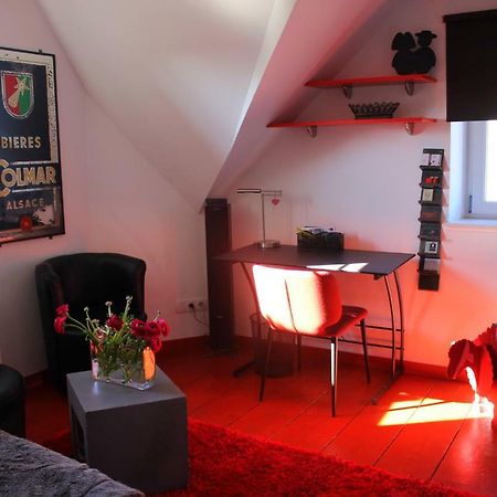 Studio De La Petite Venise Apartment Colmar Bagian luar foto