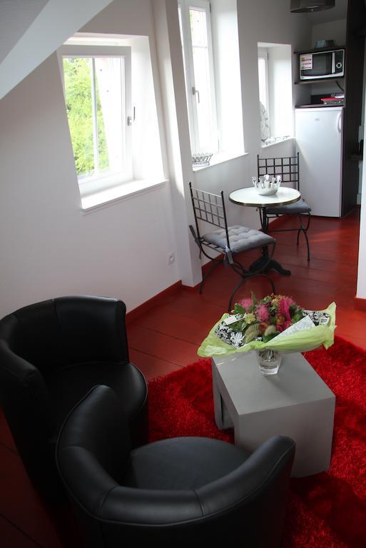 Studio De La Petite Venise Apartment Colmar Bagian luar foto
