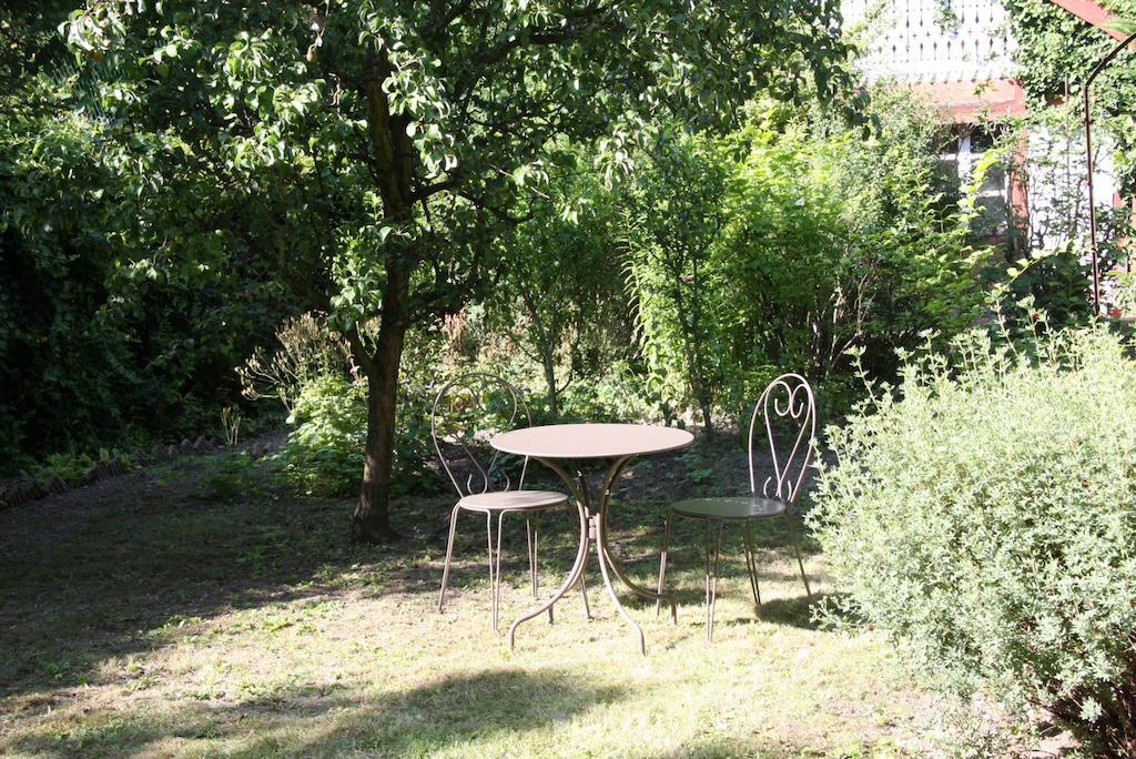 Studio De La Petite Venise Apartment Colmar Bagian luar foto