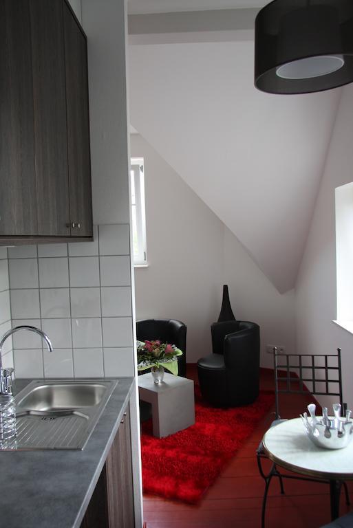 Studio De La Petite Venise Apartment Colmar Bagian luar foto