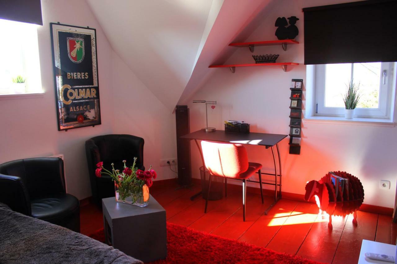 Studio De La Petite Venise Apartment Colmar Bagian luar foto