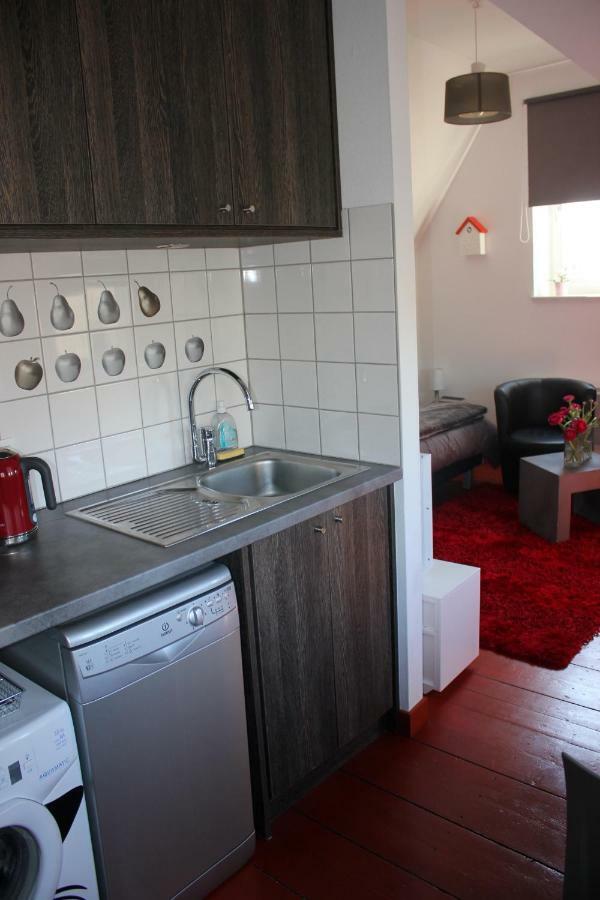 Studio De La Petite Venise Apartment Colmar Bagian luar foto